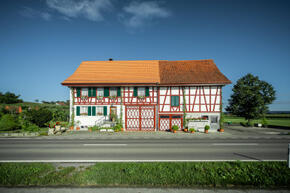 Vorschaubild DSC03586